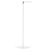 Toilet Roll Holder/Spare Toilet Roll Holder