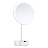 Shaving/Make-up Mirror