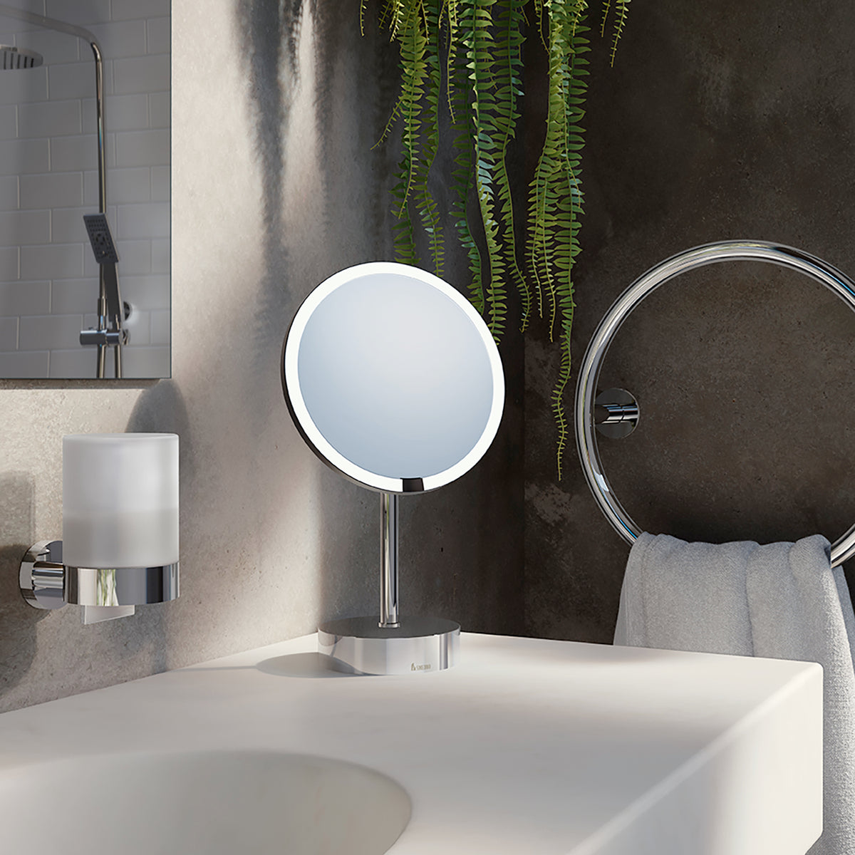 Shaving/Make-up Mirror